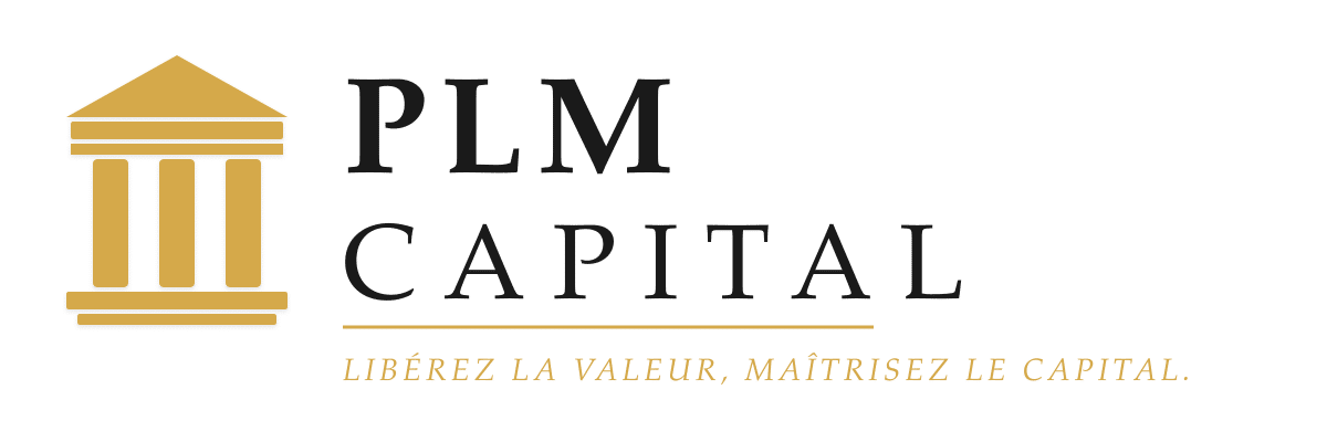 PLM CAPITAL